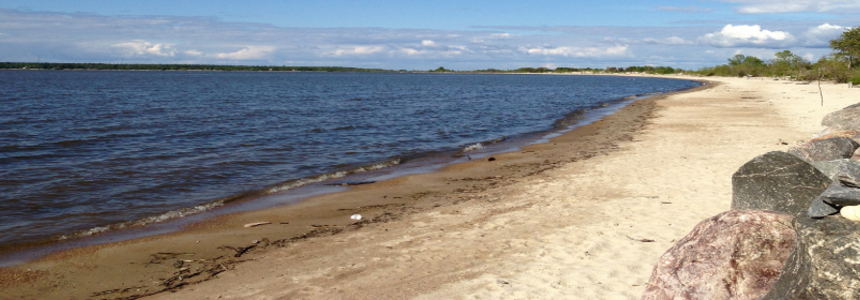 Maps of the Eastern Beaches Area