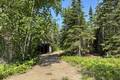 16 Evergreen Rd   LARGE .51 acre lot, Victoria Beach (14 of 23) / click on image for larger view