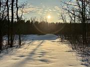 83 Eastland Drive / click on image for larger view