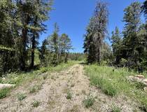 40142 Traverse Bay Rd E     2.15 acres