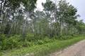 7 Ironwood Point Rd  14.52 acres, Hillside Beach (1 of 4) / click on image for larger view