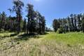 40142 Traverse Bay Rd E     2.15 acres, Traverse Bay (3 of 13) / click on image for larger view