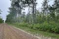 8 Ironwood Point Rd  14.52 acres, Belair (2 of 4) / click on image for larger view