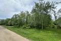 12 Partridge Bay, Beaconia (2 of 5) / click on image for larger view