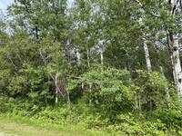 53 Berrywood Bay
