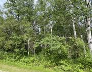 53 Berrywood Bay / click on image for larger view