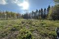 248 Northshore Rd 2.4 acres, Pine Falls (7 of 7) / click on image for larger view