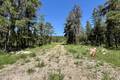 40142 Traverse Bay Rd E     2.15 acres, Traverse Bay (7 of 13) / click on image for larger view