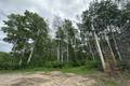 30 Schieman Bay  3.99 acres, Grand Marais (1 of 8) / click on image for larger view