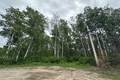 30 Schieman Bay  3.99 acres, Grand Marais (3 of 8) / click on image for larger view