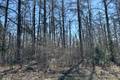110051 Lakeshore Rd   1.65 acres, Belair (2 of 10) / click on image for larger view
