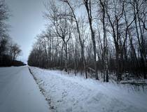 7 Ironwood Point Rd  14.52 acres