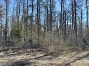 110051 Lakeshore Rd   1.65 acres / click on image for larger view