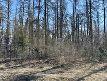 110051 Lakeshore Rd   1.65 acres