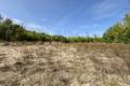 6 Saffie Road  Oversized 1 acre, Albert Beach (2 of 11) / click on image for larger view