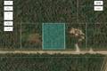 37118 Zebrun Rd. .84 acres, Belair (5 of 7) / click on image for larger view
