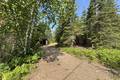 16 Evergreen Rd   LARGE .51 acre lot, Victoria Beach (14 of 16) / click on image for larger view