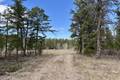 40142 Traverse Bay Rd E     2.15 acres, Traverse Bay (8 of 13) / click on image for larger view