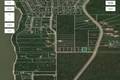 37118 Zebrun Rd. .84 acres, Belair (6 of 7) / click on image for larger view
