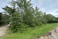 12 Partridge Bay, Beaconia (4 of 5) / click on image for larger view