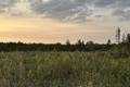 38116 Belair Rd   2 acres, Belair (3 of 14) / click on image for larger view