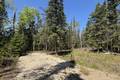 16 Evergreen Rd   LARGE .51 acre lot, Victoria Beach (15 of 23) / click on image for larger view