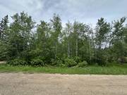 12 Partridge Bay / click on image for larger view