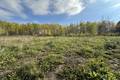 248 Northshore Rd 2.4 acres, Pine Falls (6 of 7) / click on image for larger view