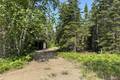 16 Evergreen Rd   LARGE .51 acre lot, Victoria Beach (16 of 16) / click on image for larger view
