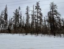 110051 Lakeshore Rd   1.65 acres