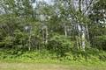 53 Berrywood Bay, Hillside Beach (1 of 2) / click on image for larger view