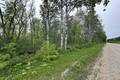 2 Ironwood Point Rd 14.52 acres, Belair (2 of 4) / click on image for larger view