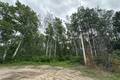 30 Schieman Bay  3.99 acres, Grand Marais (2 of 8) / click on image for larger view