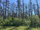 110051 Lakeshore Rd   1.65 acres