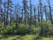 110051 Lakeshore Rd   1.65 acres
