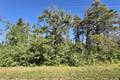 37118 Zebrun Rd. .84 acres, Belair (1 of 7) / click on image for larger view