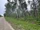 5 Ironwood Point Rd. 14.52 acres
