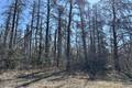 110051 Lakeshore Rd   1.65 acres, Belair (3 of 10) / click on image for larger view