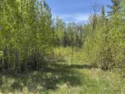 23 Birch Haven / click on image for larger view