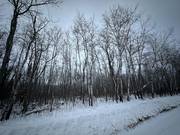 8 Ironwood Point Rd  14.52 acres / click on image for larger view