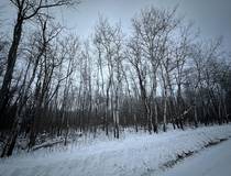 8 Ironwood Point Rd  14.52 acres