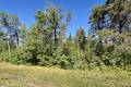 37118 Zebrun Rd. .84 acres, Belair (3 of 7) / click on image for larger view