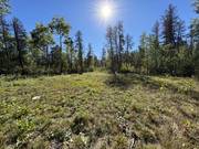 37114 Zebrun Road .84 acres / click on image for larger view
