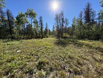 37114 Zebrun Road .84 acres