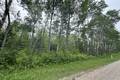 4 Ironwood Point Rd  14.52 acres, Hillside Beach (1 of 4) / click on image for larger view