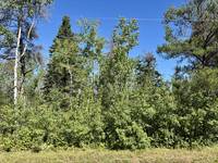 37118 Zebrun Rd. .84 acres