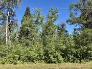 37118 Zebrun Rd. .84 acres / click on image for larger view