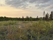 38116 Belair Rd   2 acres / click on image for larger view