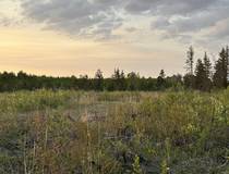 38116 Belair Rd   2 acres