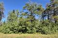 37118 Zebrun Rd. .84 acres, Belair (2 of 7) / click on image for larger view